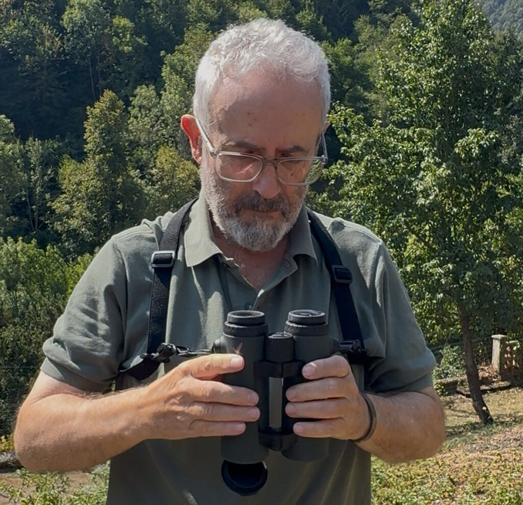 prismáticos